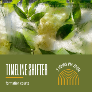 Timeline Shifter formation - BEAbrand.fr