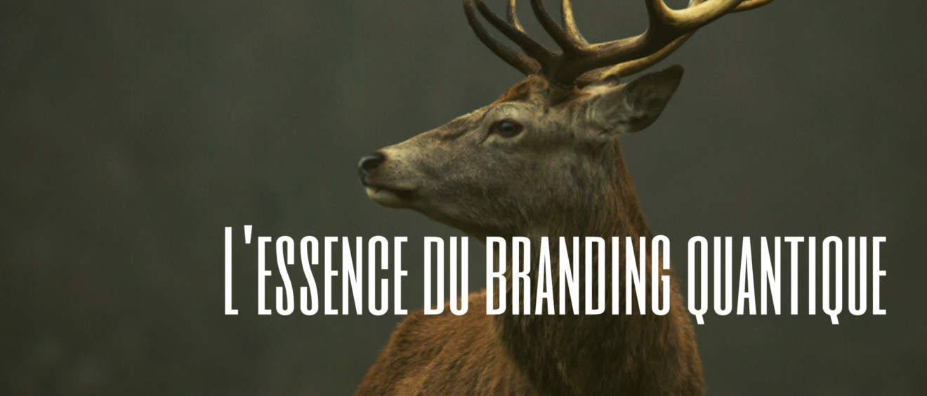 L'essence du Branding Quantique - BEAbrand.fr