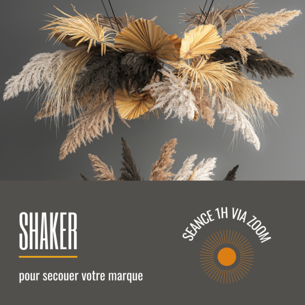 Shaker : mentoring pour secouer votre marque - BEAbrand.fr
