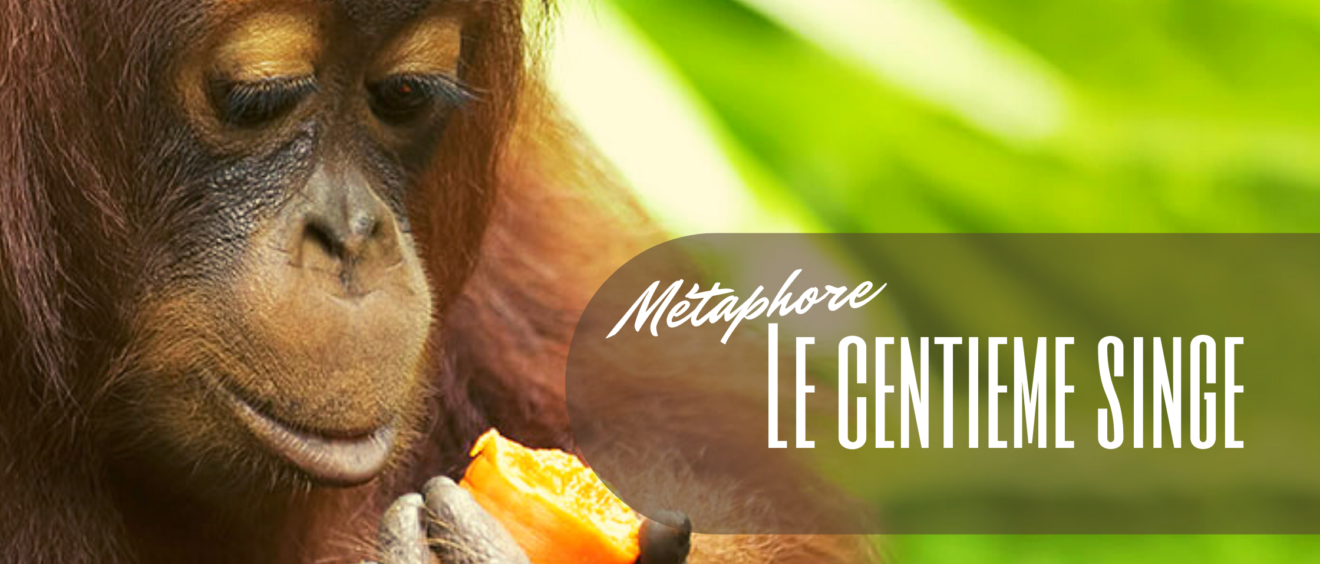 Le centième singe - BEAbrand.fr